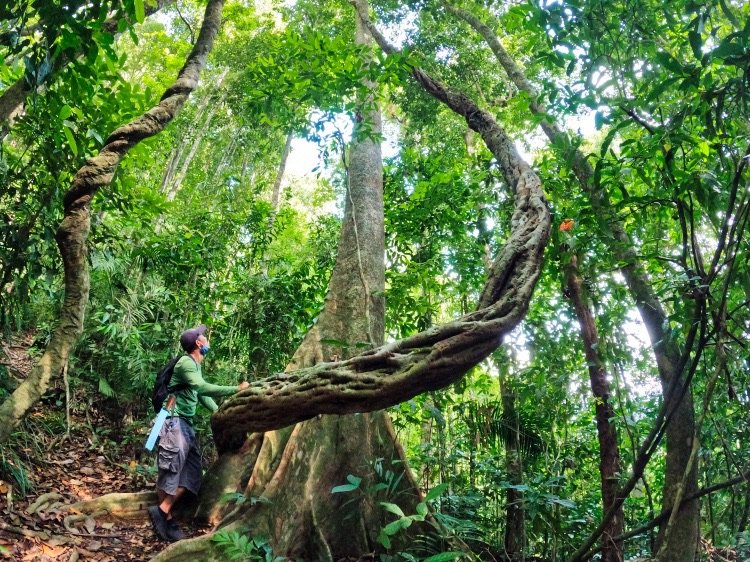 From Rainforest Khao Sok to beautiful Koh Tao 9 Days
